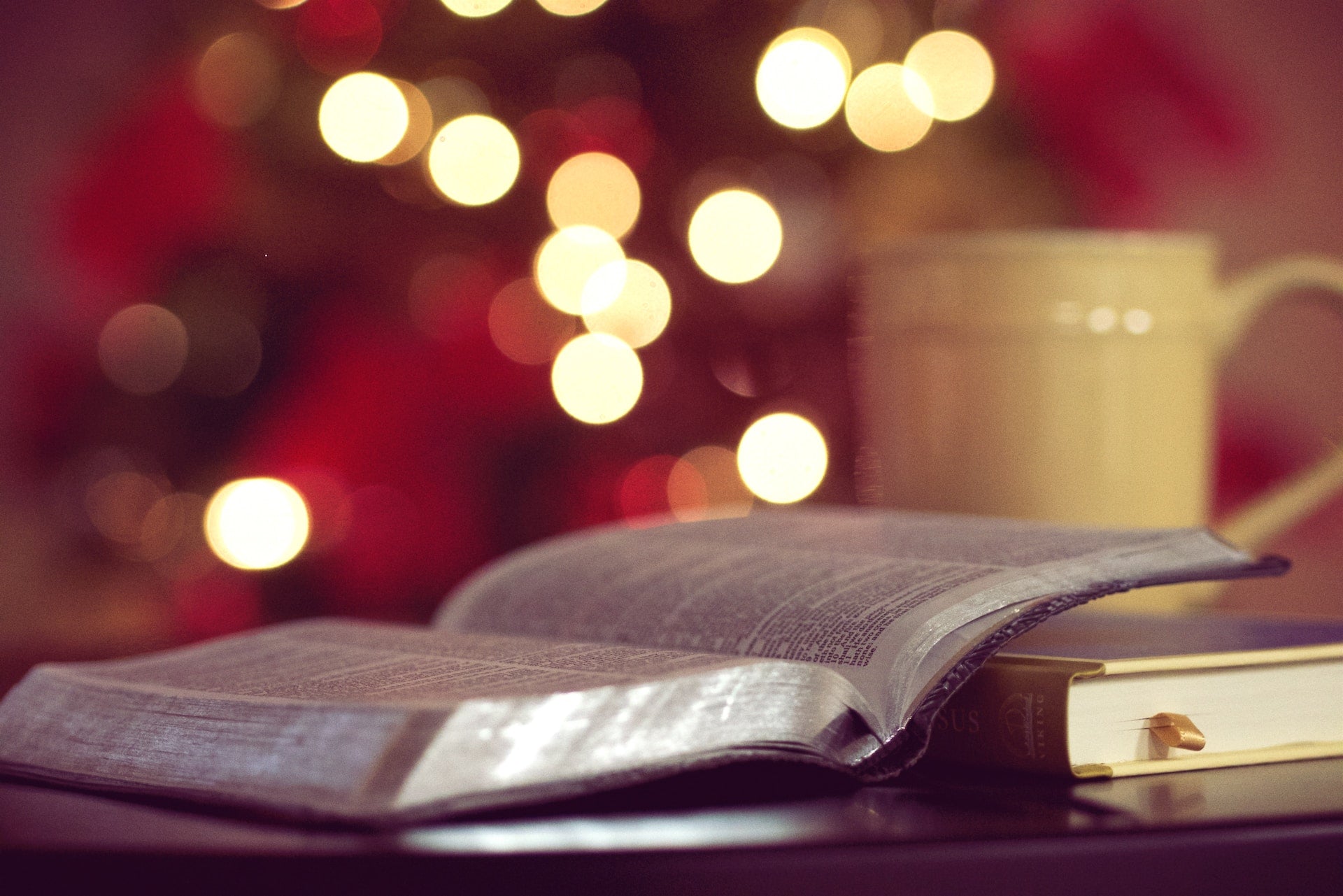 I'm Looking For A Book To: Read During Advent