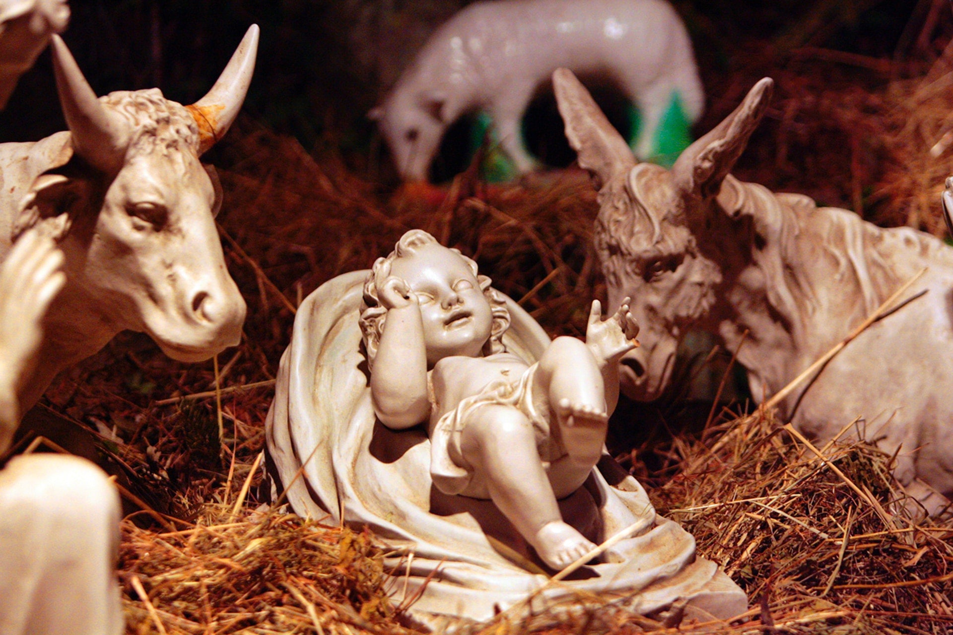 8 Saint Quotes on the Nativity of Our Lord