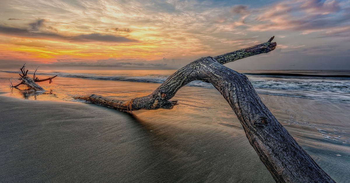 Draw Near to God  Through These Three Habits of Life