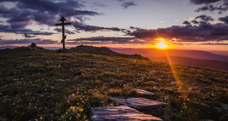 8th Sunday In Conversation With God Sunday Reflection