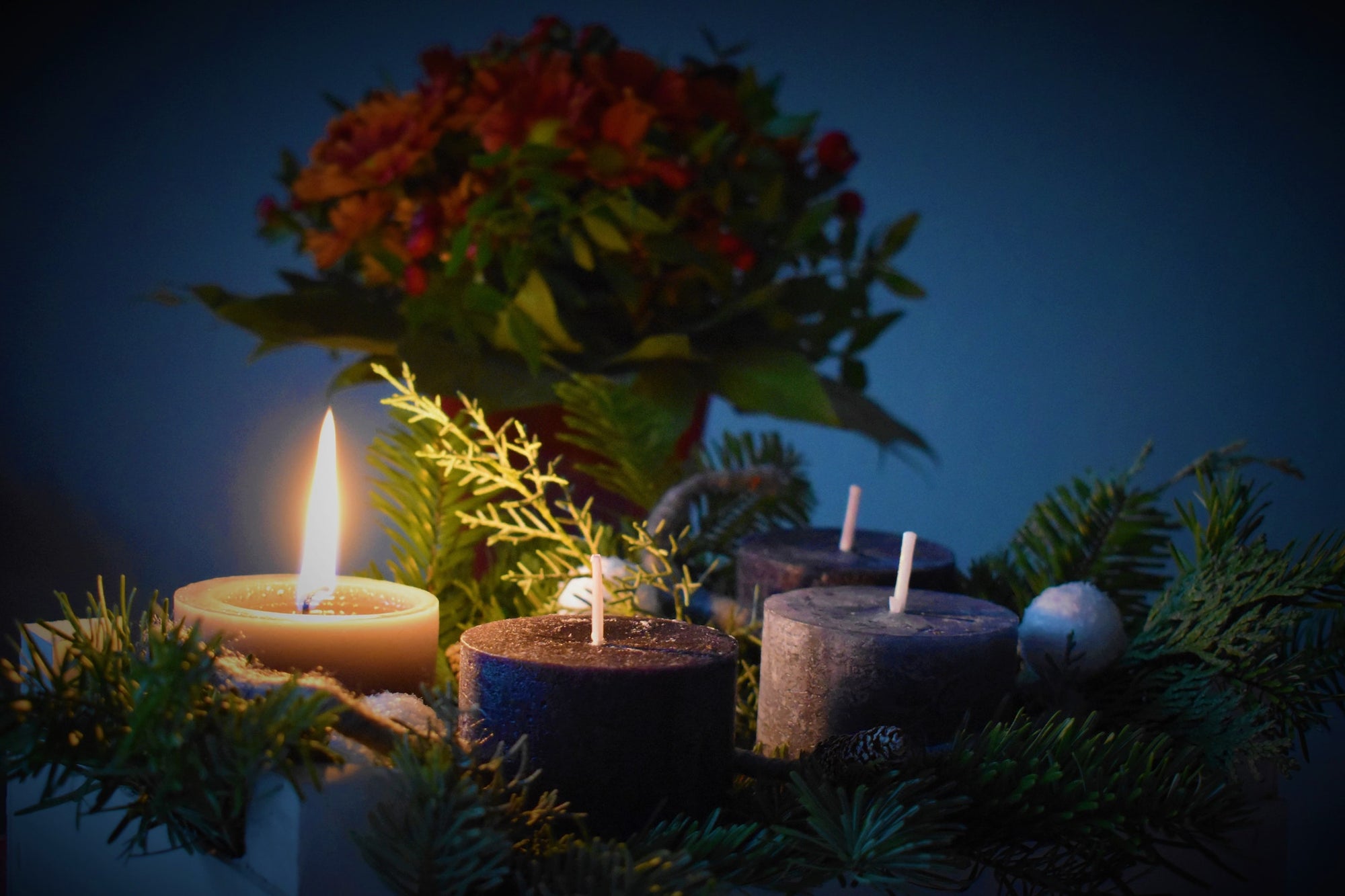 Meditation for the First Sunday of Advent