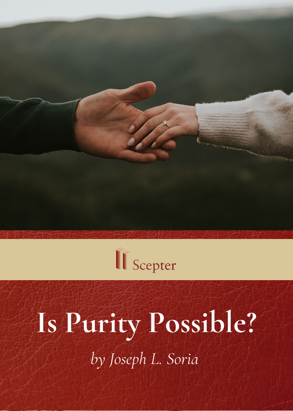 Is Purity Possible?