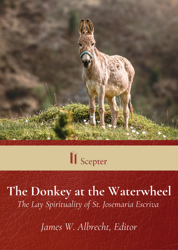 The Donkey at the Waterwheel
