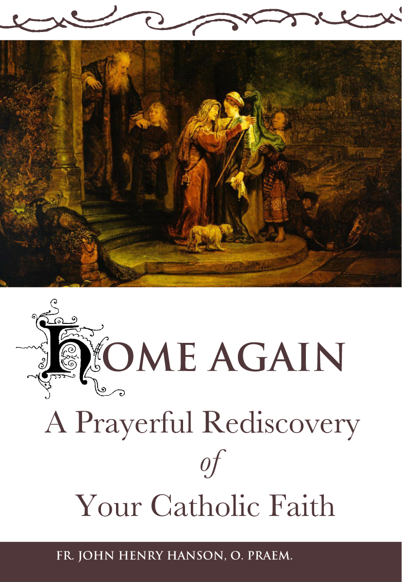 Home Again - Scepter Publishers