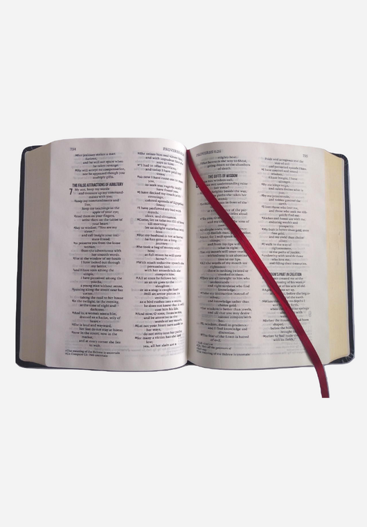 Scepter Daily Bible RSVCE Bonded Leather (Our Travel Bible) - Scepter Publishers