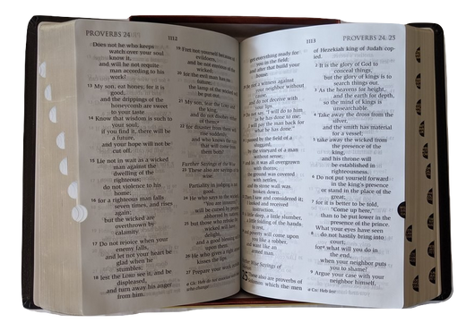RSV Catholic Bible, Large Print Edition Indexed - Scepter Publishers
